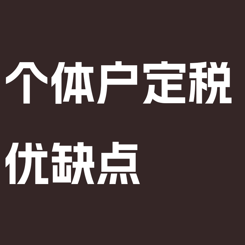 个体户定税的优缺点‌