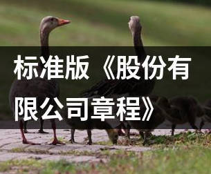 股份有限公司提交的章程仍为“股东大会”的是否允许收取？