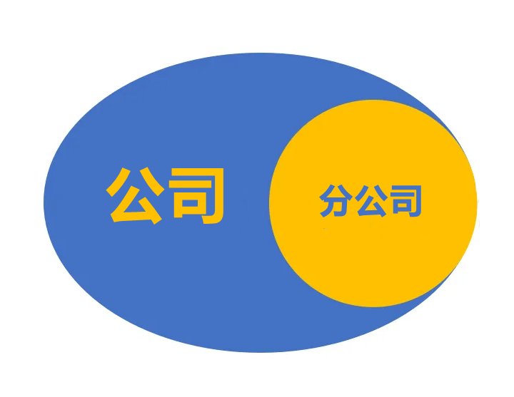分公司需要缴纳企业所得税吗？